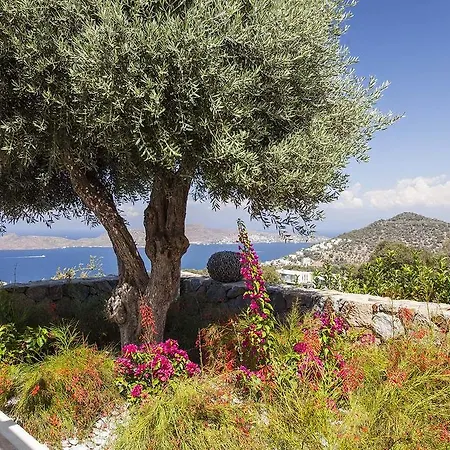 Baha Villa Yalıkavak